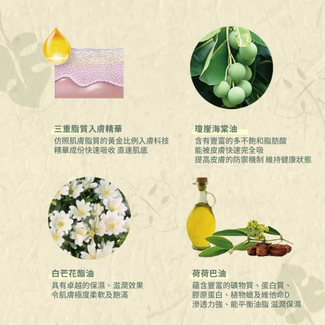【b.Aromma貝羅馬】潤亮美胸精華100ml(按摩精油)