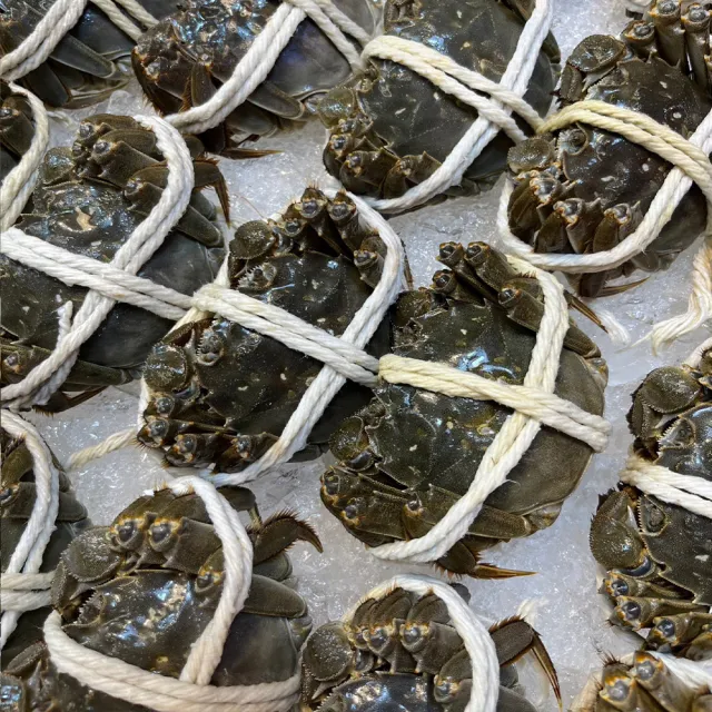 【華得水產】保證活蟹直送嚴 江蘇大閘蟹(公蟹_4隻_6-6.5兩/隻-接單11/20日止)