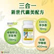 【赫而司】綠咖啡豆鉻膠囊2罐(共120顆;纖美Svetol法國專利12種綠原酸CGA綠茶兒茶素EGCG鉻維持醣類正常代謝)