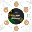 【DeKo岱珂】台灣製五效合一CBD*羊毛*石墨烯棉被 2KG 冬被 速達(雙人180*210cm)