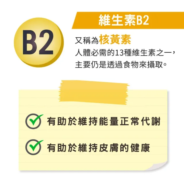 【LOVITA 愛維他】緩釋型維生素B2素食錠*3瓶(100mg)