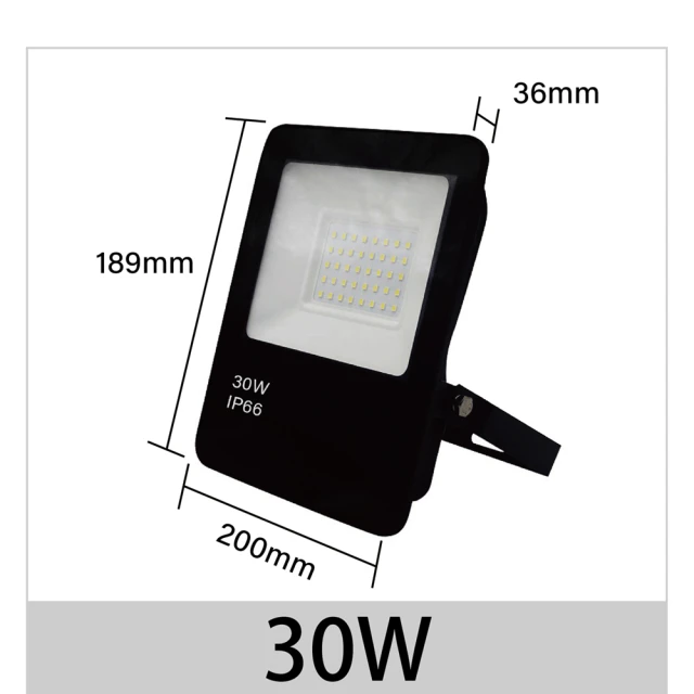 青禾坊 歐奇OC 30W LED 戶外防水投光燈 投射燈-2入(超薄 IP66投射燈 CNS認證)