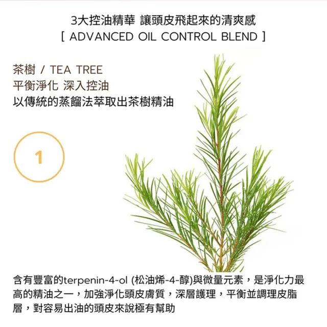 【Moonlight】進化版茶樹控油淨化洗髮精 400mL x3(告別油膩 去味淨化)