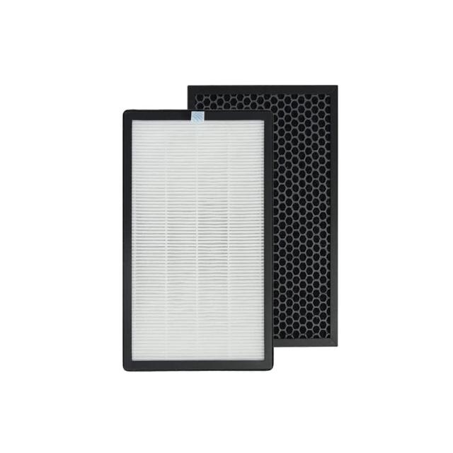 【PUREBURG】2入組-適用Gplus G-plus拓勤PRO-1000 PRO1000雙側進風空氣清淨機活性碳HEPA二合一濾網濾芯