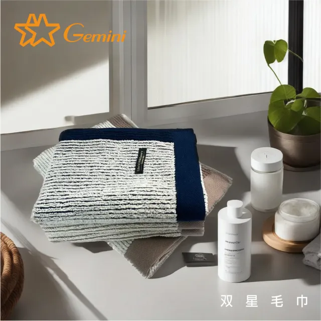 【Gemini 雙星】官方直營 智能精梳棉-琴韻絲線毛巾(超值2入組-3色任選)