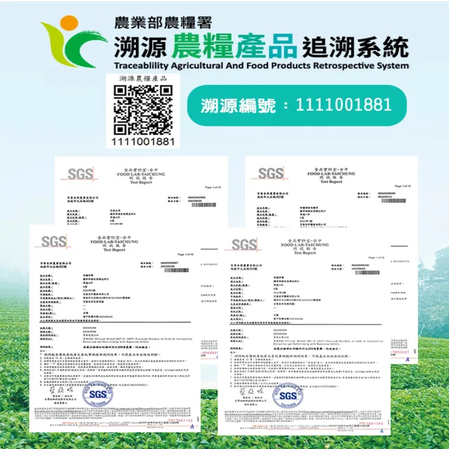 【百香】綠茶三角立體茶包3gx16入 1罐 自然農法 茶包(100%台灣茶 百香茶葉 綠茶 茶包 年節送禮)