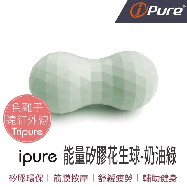 iPure 翼型舒壓護腰墊 原廠公司貨 推薦