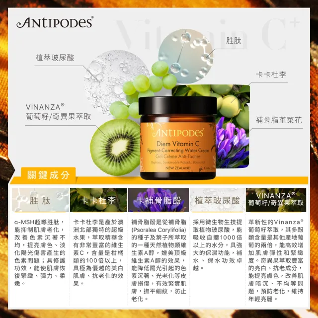 【Jollyard 潔麗雅】安緹芃-卡卡杜美妍C水凝霜(60ml)