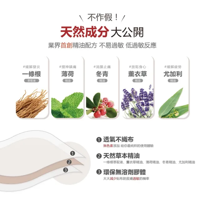 【Flowers 花芊】金牌 金門一條根精油貼布 石墨烯(8片/1包 溫熱感 放鬆肌肉)