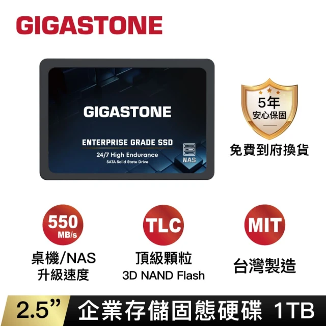 Gigastone 立達國際 SSD NAS 1TB 2.5吋企業級固態硬碟(最高讀取速度550MB/s/適用各主機、伺服器)