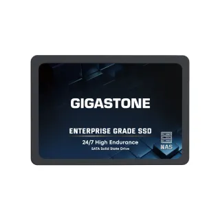 【Gigastone 立達國際】SSD NAS 1TB 2.5吋企業級固態硬碟(最高讀取速度550MB/s/適用各主機、伺服器)