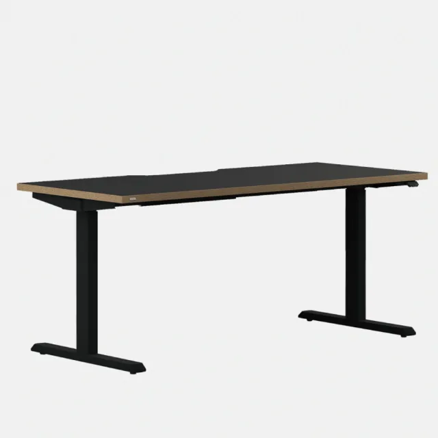 【DESKER】MOTION DESK 韓國設計監製 1600型 升降式電動桌 160x70cm(電動升降桌/辦公桌/環保板材/專人組裝)