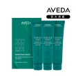 【AVEDA】花植結構重鍵精華三件組100mlx3(免沖洗護髮)