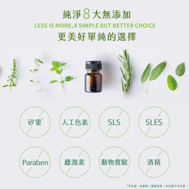 【SAHOLEA 森歐黎漾】淨平衡茶樹精油 控油雙效抗屑洗髮精480ml x3入