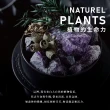 【Les nez 香鼻子】水晶香氛能量寶盒禮盒組(運財、愛情、和諧、療癒、悟性、智慧、)