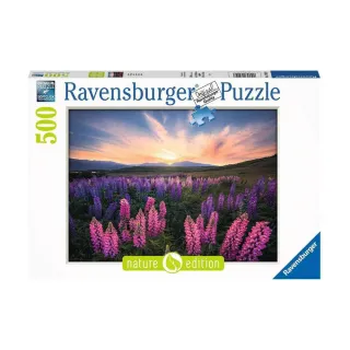 【Ravensburger】維寶拼圖 美麗花海 500片