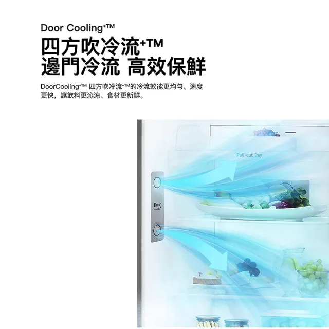 【LG 樂金】15公斤+266公升〔1+1超值組〕(WT-VDN15HB+GV-L266SV)