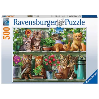 【Ravensburger】維寶拼圖 可愛貓咪 500片