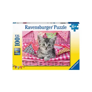 【Ravensburger】維寶拼圖 可愛貓咪 100片
