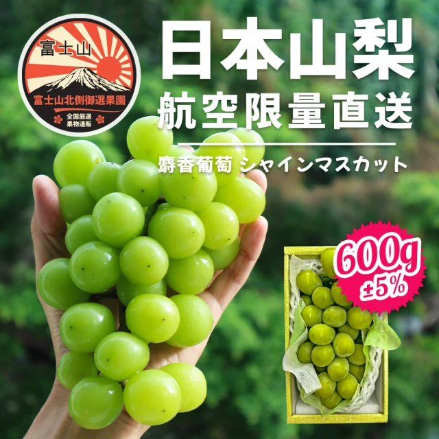 果樹寶石 日本山梨縣相撲級麝香葡萄1大房禮盒600g±5%(航空急送 富士山北側御選果園)