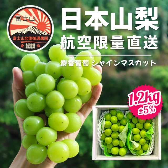 果樹寶石 日本山梨縣相撲級麝香葡萄2大房禮盒1.2kg±5%(航空急送 富士山北側御選果園)