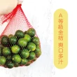 【A級金桔】屏東金桔A級 友善小農 5斤箱裝(產地直銷 現採新鮮出貨)