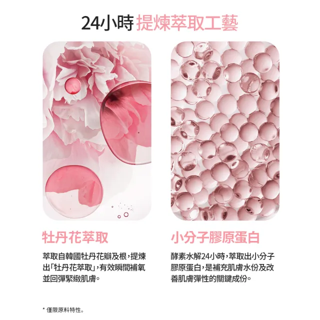 【LANEIGE 蘭芝】粉澎潤睡美人晚安面膜 60ml 雙入組(官方直營)