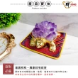 【財神小舖】好運歸來 水晶聚財錢龜擺件(兩款任選 已開光 招財 轉運 能量 磁場)