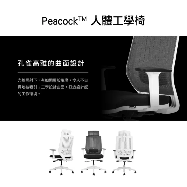 【backbone】台灣製Peacock華麗人體工學椅│全黑框│(辦公椅/椅子/人體工學椅)