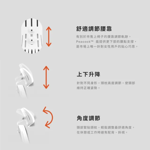 【backbone】台灣製Peacock華麗人體工學椅│白框款│(辦公椅/椅子/人體工學椅)