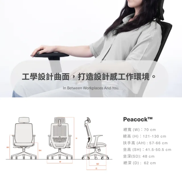 【backbone】台灣製Peacock華麗人體工學椅│白框款│(辦公椅/椅子/人體工學椅)