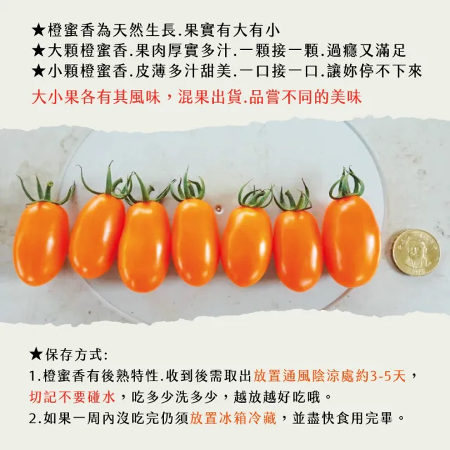 【初品果】宋媽媽橙蜜香小番茄禮盒3斤x4盒(年節禮盒_高雄美濃_產地直送_季節限定)