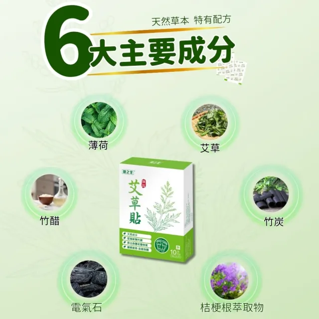 【健之堂】強效艾草貼10片x2盒+甜睡艾草貼10片x2盒(組合裝)