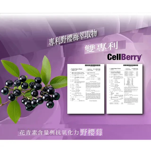 【JEROSSE 婕樂纖】雪花紫纖飲X1盒共14包(專利成份美麗加分)