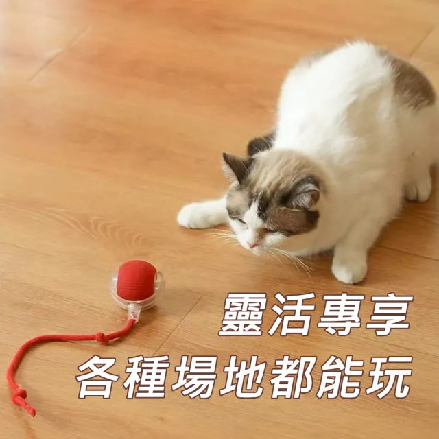 【AFAMIC 艾法】智能電子LED彩燈不規則滾動防水寵物玩樂解憂球(原廠正貨 逗貓棒 互動 運動 貓狗 寵物球)
