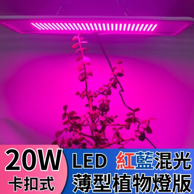 JIUNPEY 君沛 LED20W薄型植物燈版 20瓦卡扣式植物燈 紅藍光譜(植物生長燈 植物燈)