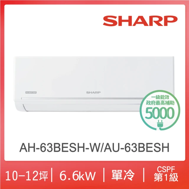 SHARP 夏普 極致系列自清潔6-8坪一級單冷分離式空調(