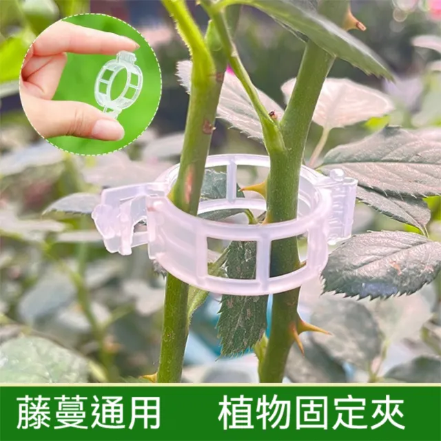 【晴安居】PP材質植物固定夾 環保型卡扣設計免搭架藤蔓綁夾(50入)