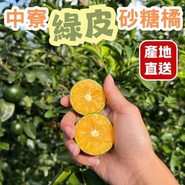 探果籽 南投中寮綠皮砂糖橘5斤×1箱(超級稀有＿送禮首選＿季節限定_秒殺款)