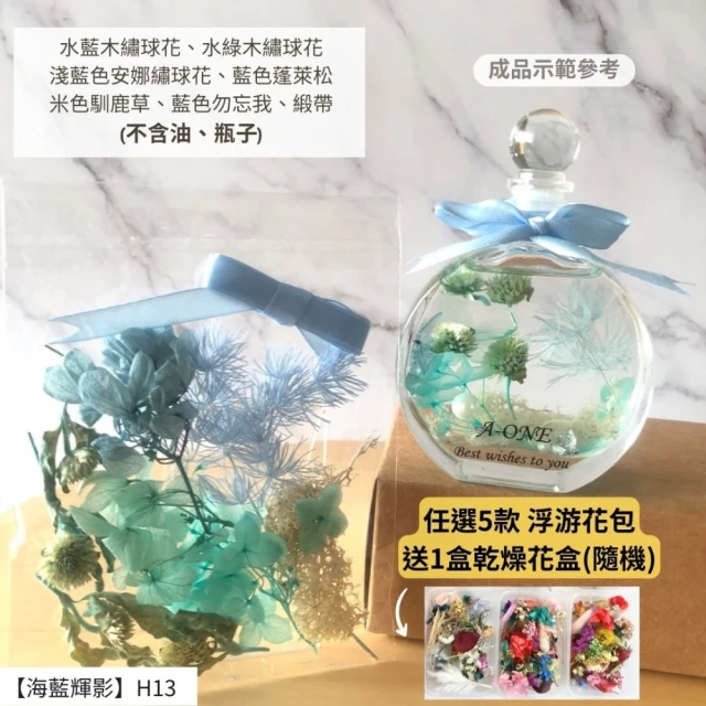 A-ONE 匯旺 浮游花DIY材料包 植物果實 紅色米花 拍照道具 花藝材料包 浮油花 永生花 乾花 乾燥花材 H13