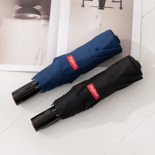 【雨傘王】BigRed 太極 抗風自動折疊傘 快乾 防潑水 專利堅固中棒(終身免費維修)