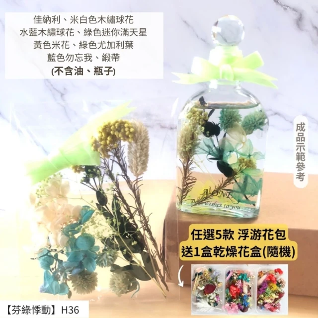 CNFlower 西恩 甜蜜庭園 恆星花禮 多色(送禮推薦/