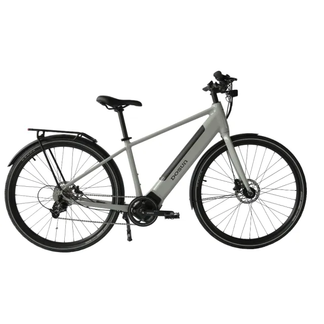 【DOSUN】CTPRO 電輔車/電助車