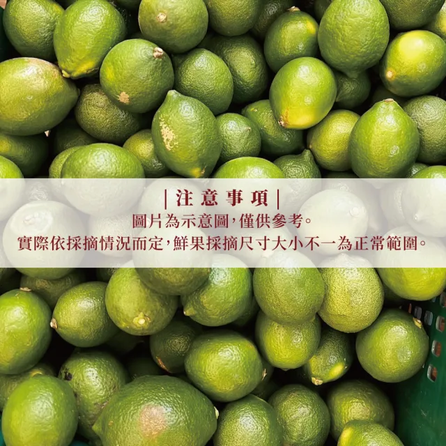 有籽檸檬 10斤箱裝(產地直銷 現採新鮮出貨)