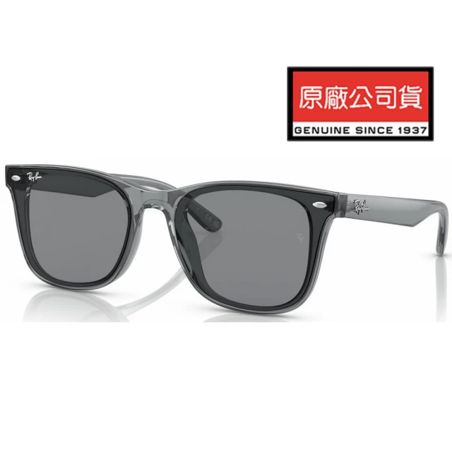 RayBan 雷朋 亞洲版 時尚大鏡面太陽眼鏡 RB4391D 645087 透晶灰框抗UV鏡片 公司貨