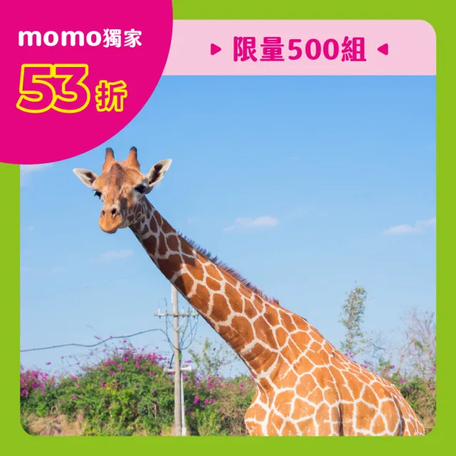 【台南頑皮世界】momo限量★雙人動物園超值券含明星娃娃乙隻(歐享券-玩樂生活休息)