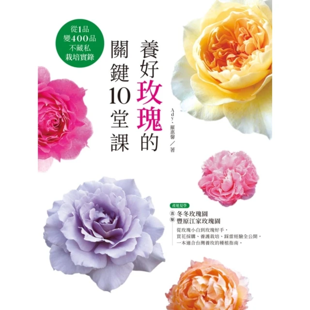 【momoBOOK】一件有益的小物（普通版）(電子書)好評推