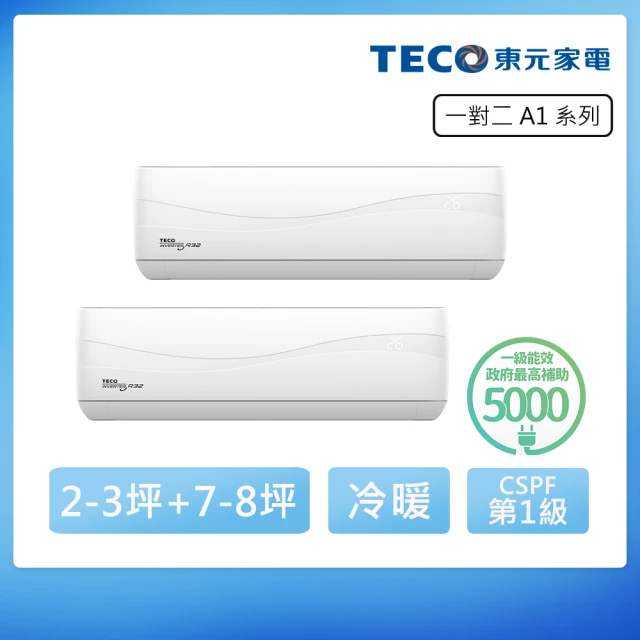 TECO 東元 2-3坪+2-3坪 一對二變頻冷暖分離式空調