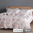 【貝兒居家寢飾生活館】60支100%蘭精萊賽爾天絲兩用被床包組 裸睡系列A款(特大雙人/多款任選) 涼被/冷氣毯