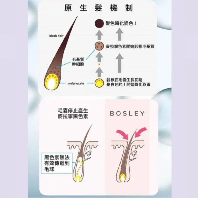 【Bosley】黑髮青春還原修護洗髮精400mlx2入組(黑髮養護、護色升級版)
